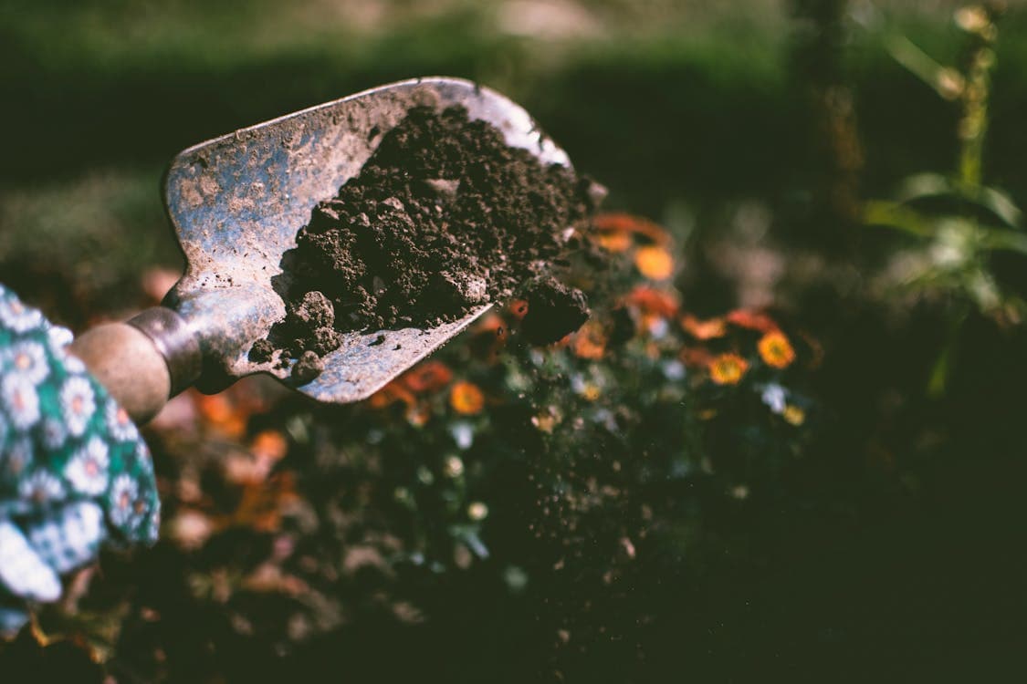 Wondering what plants work best for each season? This guide will explain. Discover year-round ease with the GardenEZ Kit.