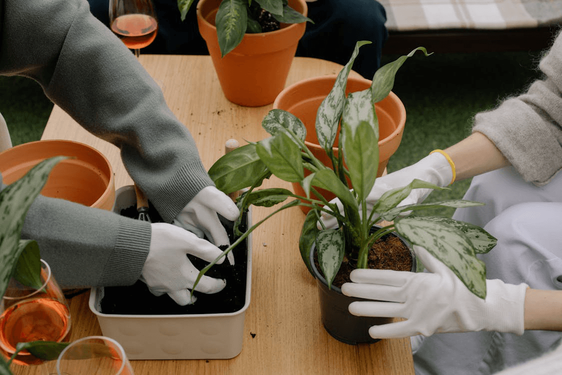 Discover practical hacks to transform your balcony or rooftop into a lush, productive urban garden with our easy-to-follow guide.