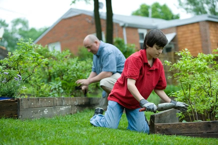 Boy and man kneel in a garden bed examining plants.