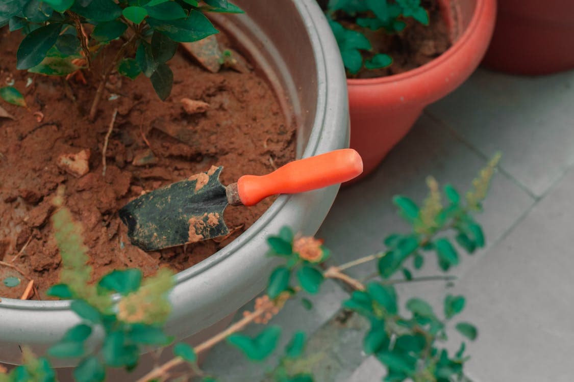 A quality outdoor gardening kit can make gardening more enjoyable and productive. Learn the essential components of quality gardening kits here.