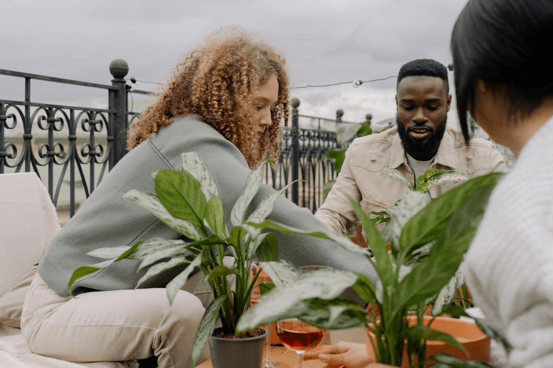 Discover essential gardening tips for beginners, from choosing the right tools and plants to proper planting techniques for a thriving garden.