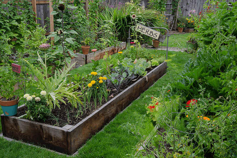 Tired of battling weeds? Get essential tips for a weed-free garden! Learn prevention techniques, weeding strategies, and how to reclaim your garden from pesky plants. 🌱