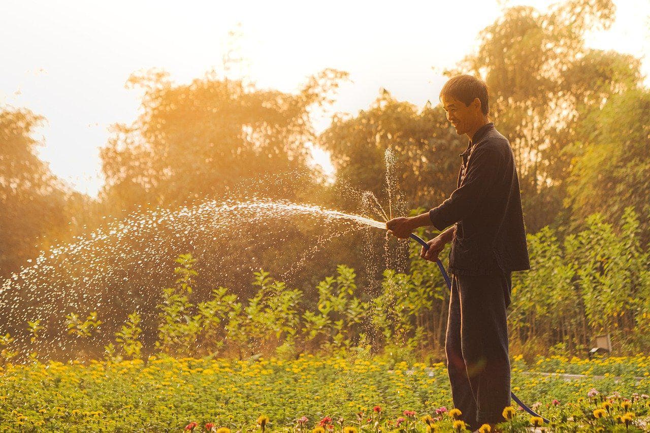 Unleash the relaxation potential of your backyard! Discover how maintenance-free gardens save you time, money, and effort. Learn about water-saving irrigation and efficient landscaping.